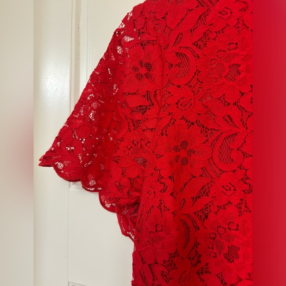 J Crew Red Lace Dress Size 10 - Picture 2 of 5